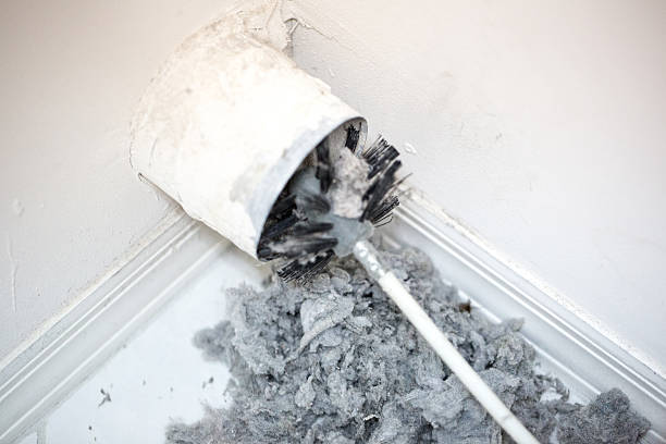 Best Local Air Duct Cleaning Services  in North East, MD